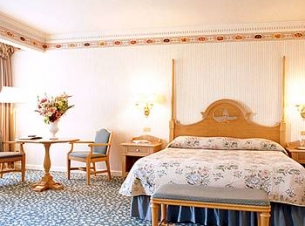 Oferta Disneyland - HOTEL DISNEYLAND 5* - Disneyland Paris 3